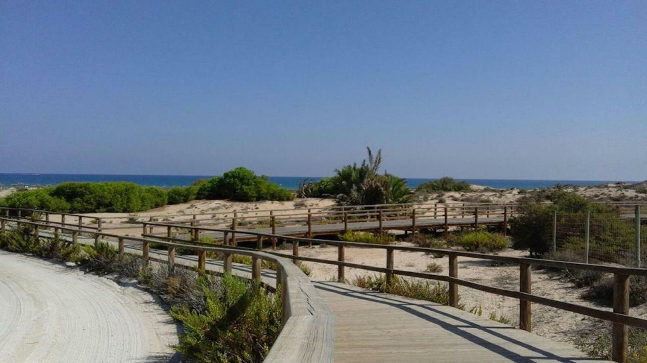 Infinity View Penthouse Apartment Arenales del Sol Exterior photo